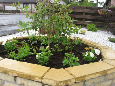 My raised bed 