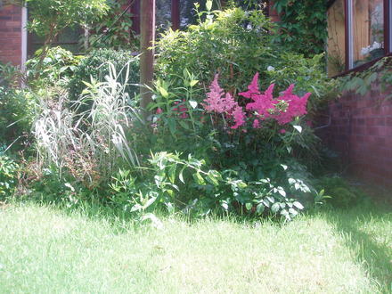 area around pond