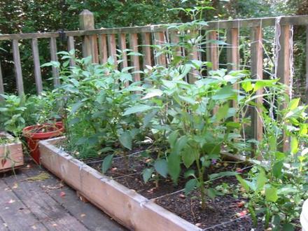My Patio boxes