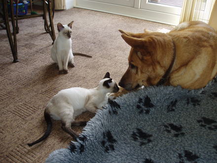 have i got something on my nose