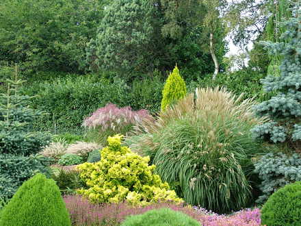 Foxhollow, garden view