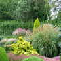 Dscf2362