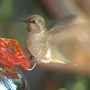 20080719_152b