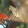 20080719_169b