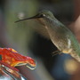 20080719_07b