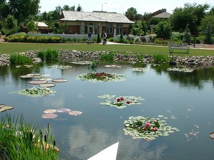 pond2.jpg