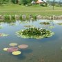 Pond3