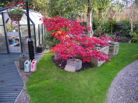 Acer 