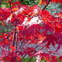 Captured_2007-10-11_00002
