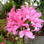 Dscn1145