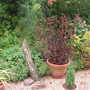 Pict0036