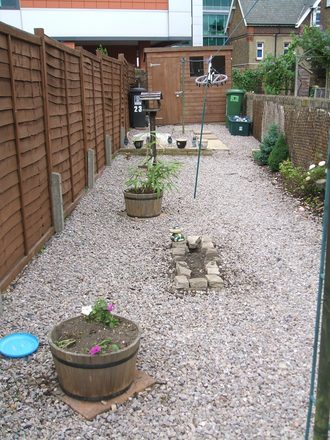 Garden now