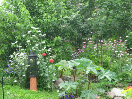 More Chinoiserie...garden lantern with Queen Anne's Lace, Annual Poppies and Bell Flower (campanula)...and CastorBean (Ricinus communis (Castor bean plant))