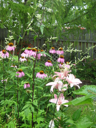 lilies, echinacea and artemisia