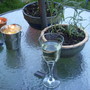 Glass_of_wine_anyone