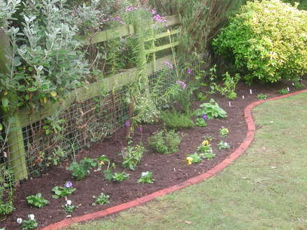 Border planted.