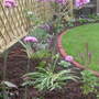 L-hand_border_2_oct