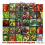 ORGANIC GARDENING.jpg