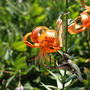 20080720_84b