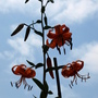 20080720_05