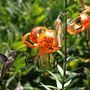 20080720_82b