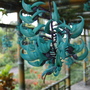 Jade Vine