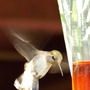 20080720_35c