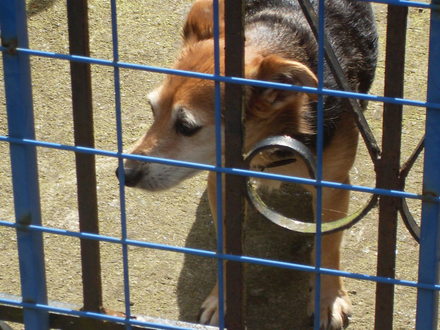 let me  back in 