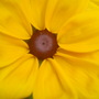 July_08___2_017