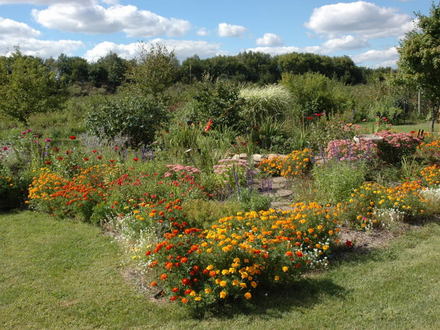 Backyard Flower Bed