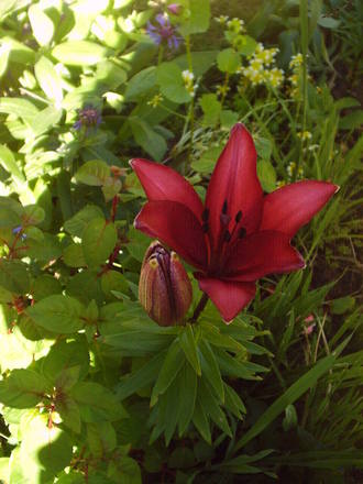 Picture_020.jpg