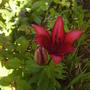 Picture_020.jpg