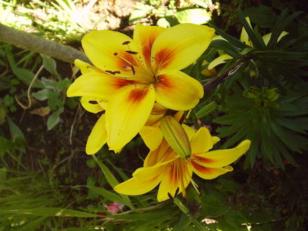 Picture_022.jpg