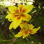 Picture_022.jpg