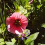 Picture_023.jpg