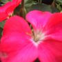 IMG_2481web.jpg
