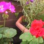 IMG_2482web.jpg