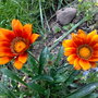 130720081298