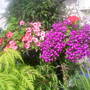 The_patch_920