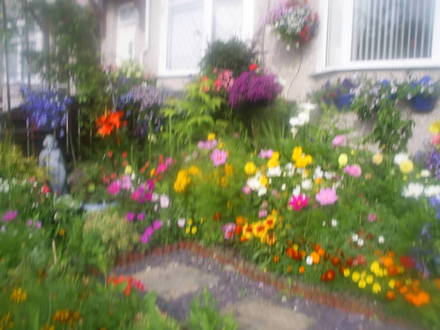 front garden