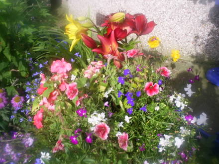 front garden container