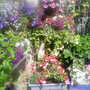 The_patch_910