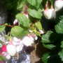 The_patch_912