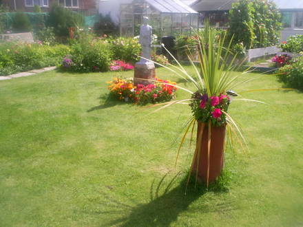 lawn in allotment 