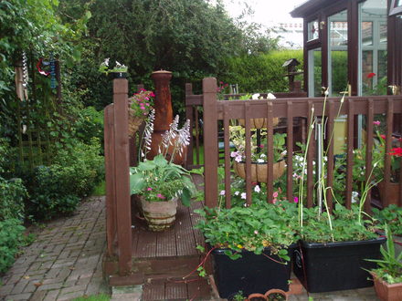 back garden