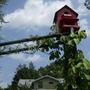 New Arbor
