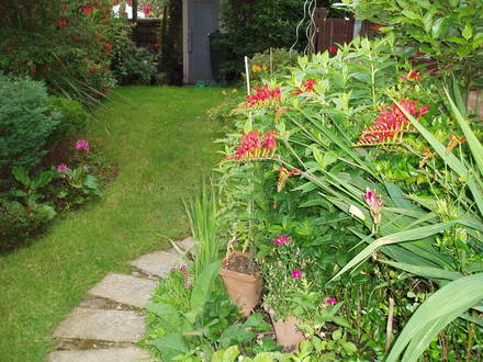 side garden-opposite direction