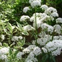 2008_may_june_047