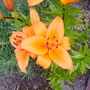 Pict0436