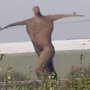 The Wicker Man